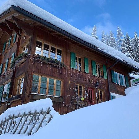 Chalet Schiltwald Innerwengen Eksteriør bilde