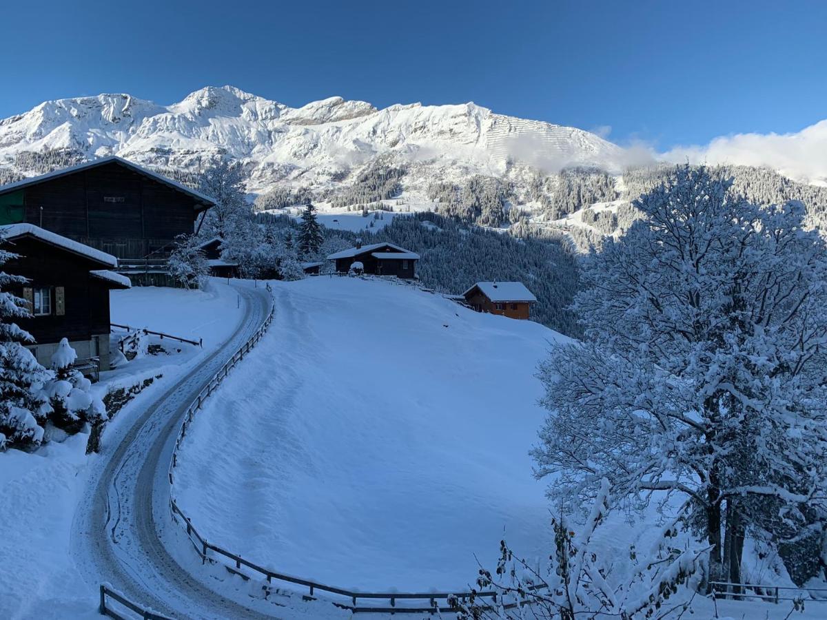 Chalet Schiltwald Innerwengen Eksteriør bilde
