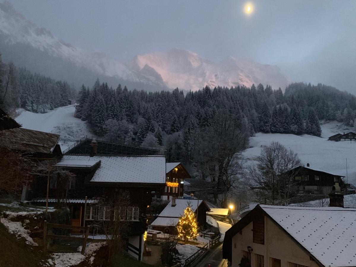 Chalet Schiltwald Innerwengen Eksteriør bilde