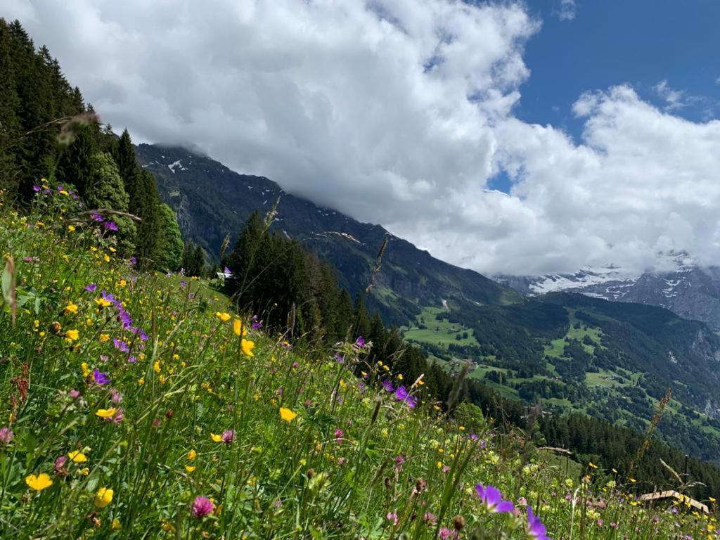 Chalet Schiltwald Innerwengen Eksteriør bilde