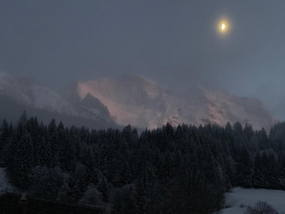Chalet Schiltwald Innerwengen Eksteriør bilde