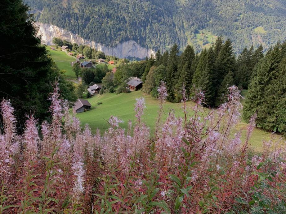 Chalet Schiltwald Innerwengen Eksteriør bilde