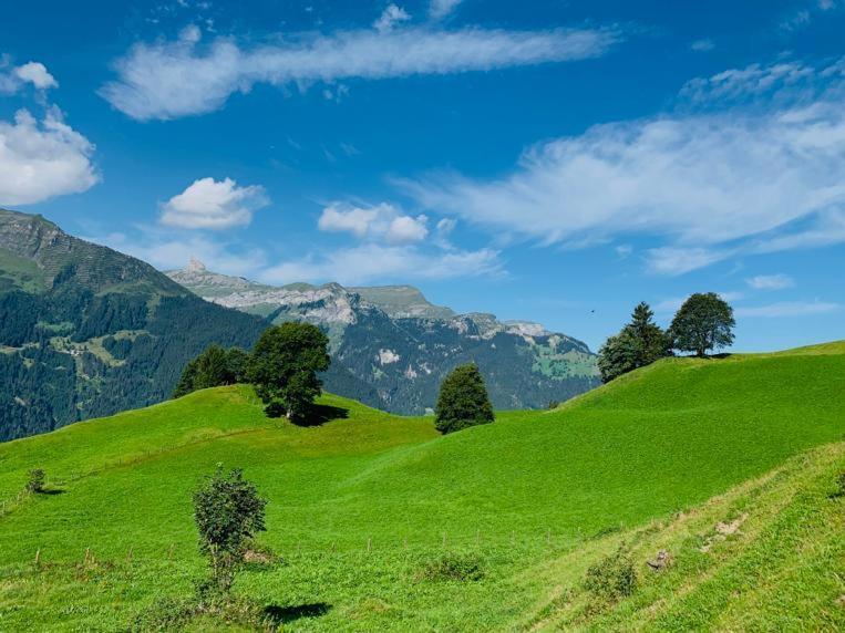 Chalet Schiltwald Innerwengen Eksteriør bilde