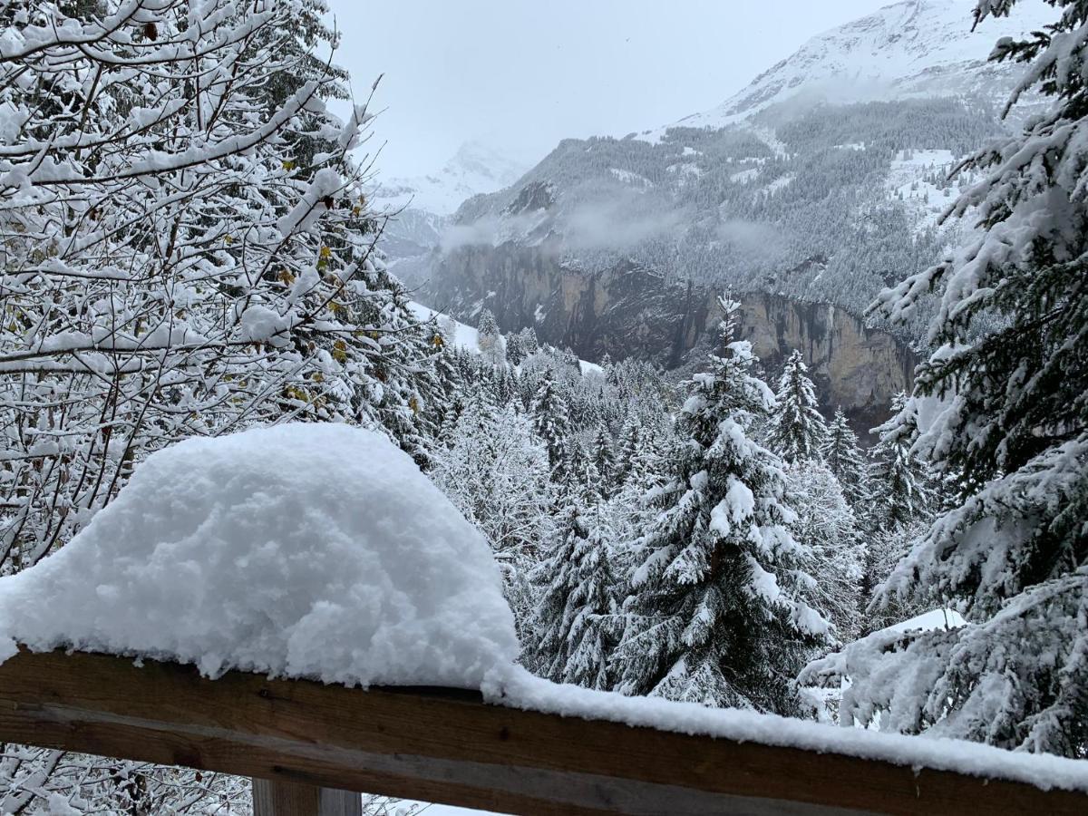 Chalet Schiltwald Innerwengen Eksteriør bilde
