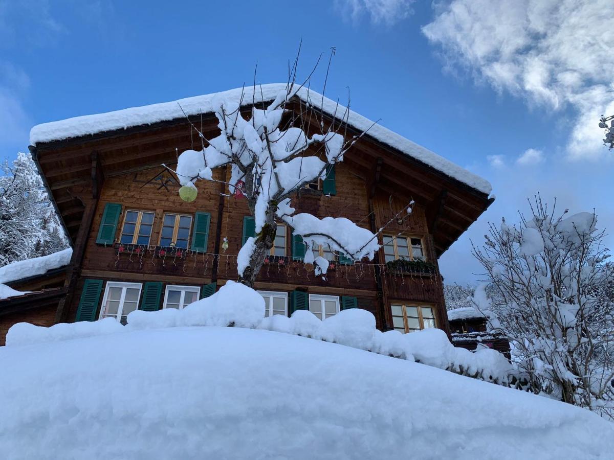 Chalet Schiltwald Innerwengen Eksteriør bilde