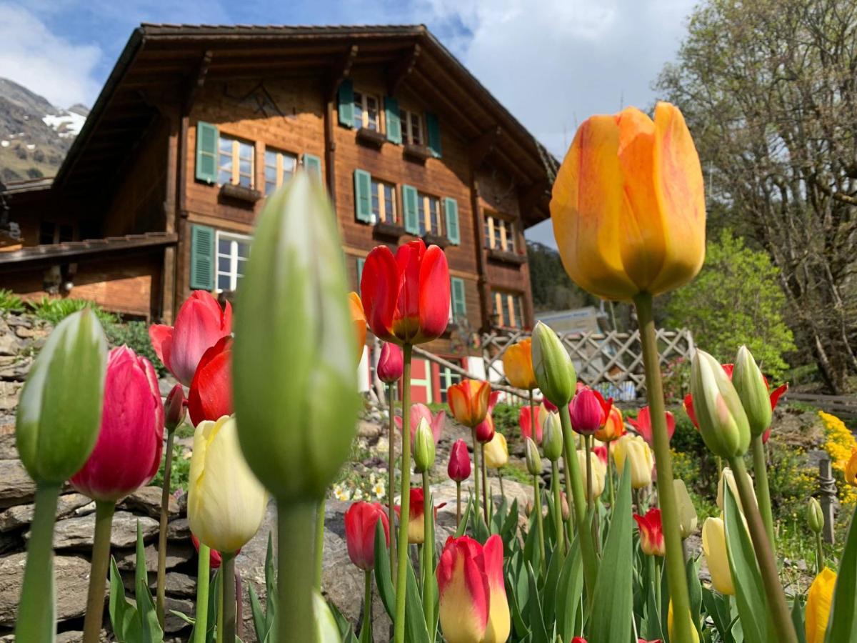 Chalet Schiltwald Innerwengen Eksteriør bilde